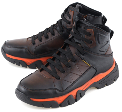 Коричневый/Рыжий