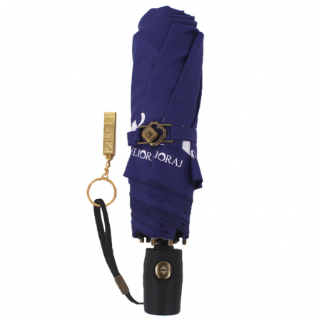 ЗОНТ ПРЕМИУМ ЖЕНСКИЙ ПРОЯВЛЯЮЩИЙСЯ РИСУНОК АВТОМАТ FLIORAJ