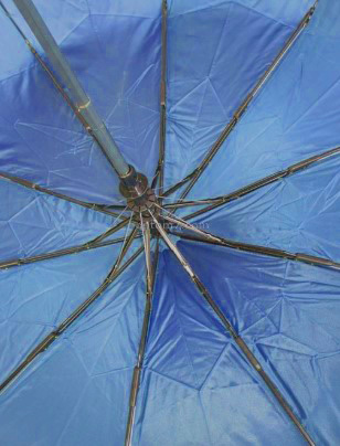 1094 зонт полуавтомат хамелеон синий rainbrella голландия/prc